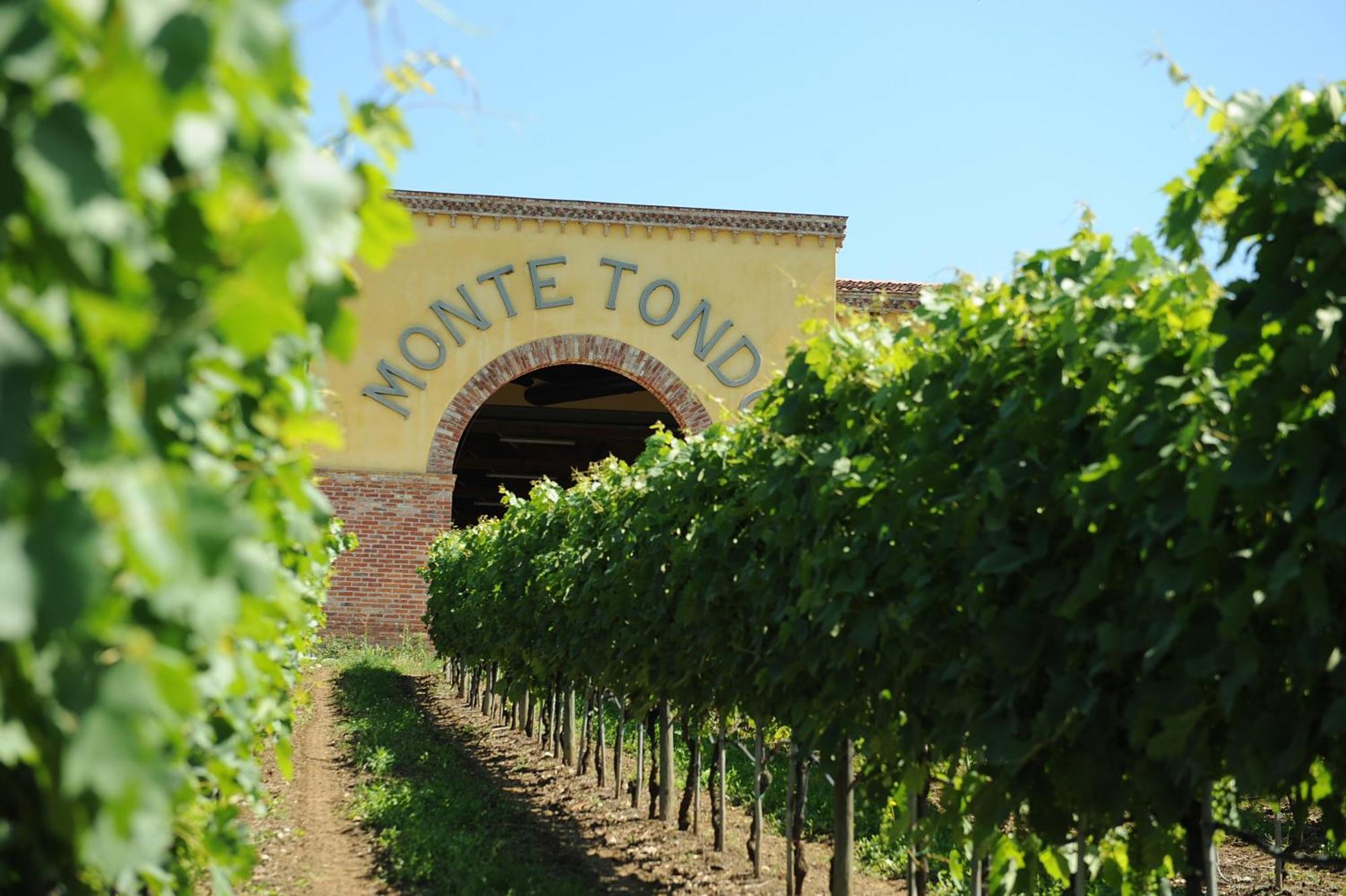 Monte Tondo Winery Konuk evi Soave  Dış mekan fotoğraf